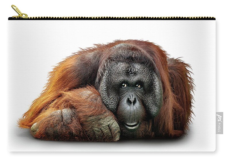 Bornean Zip Pouch featuring the photograph Bornean Orangutan Named Michael by Good Focused