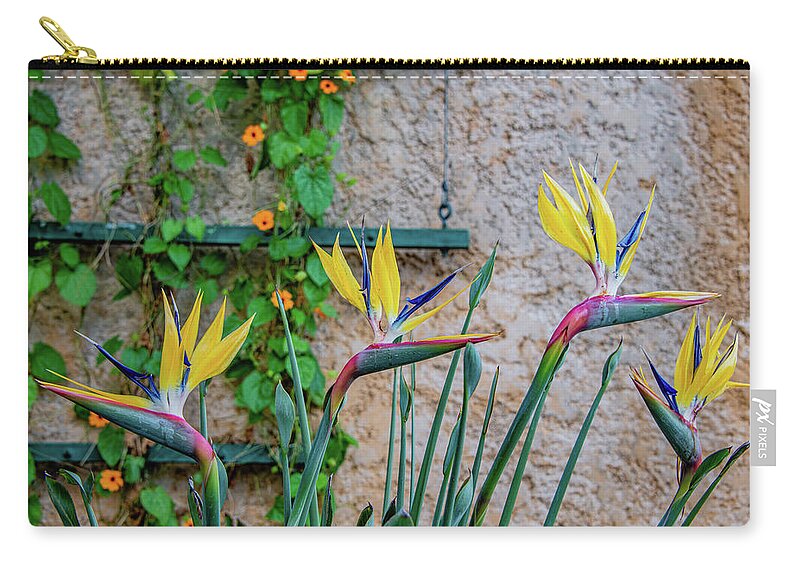 Bird Of Paradise Carry-all Pouch featuring the photograph Botanical Art by Marcy Wielfaert