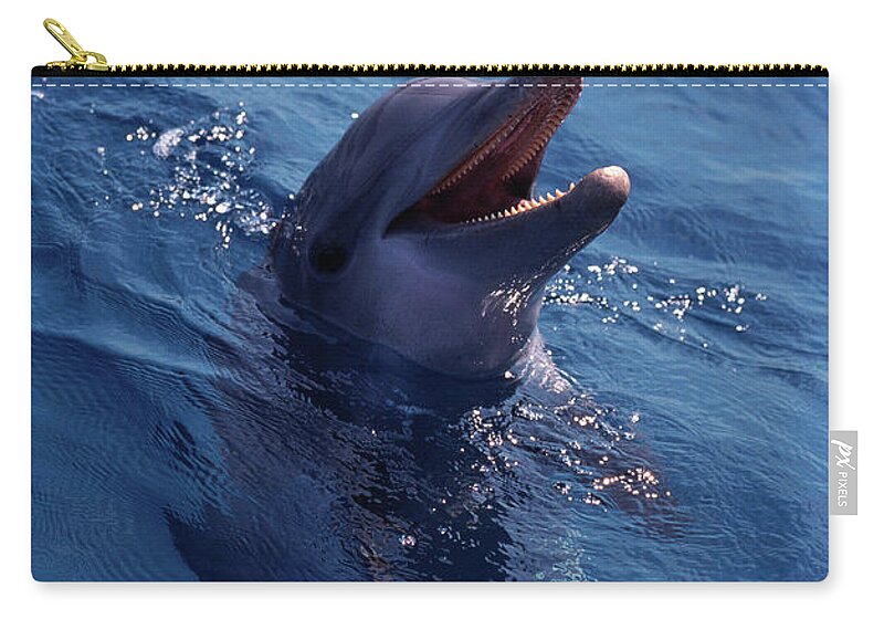 Vertebrate Zip Pouch featuring the photograph Bottle-nosed Dolphin by Stuart Westmorland