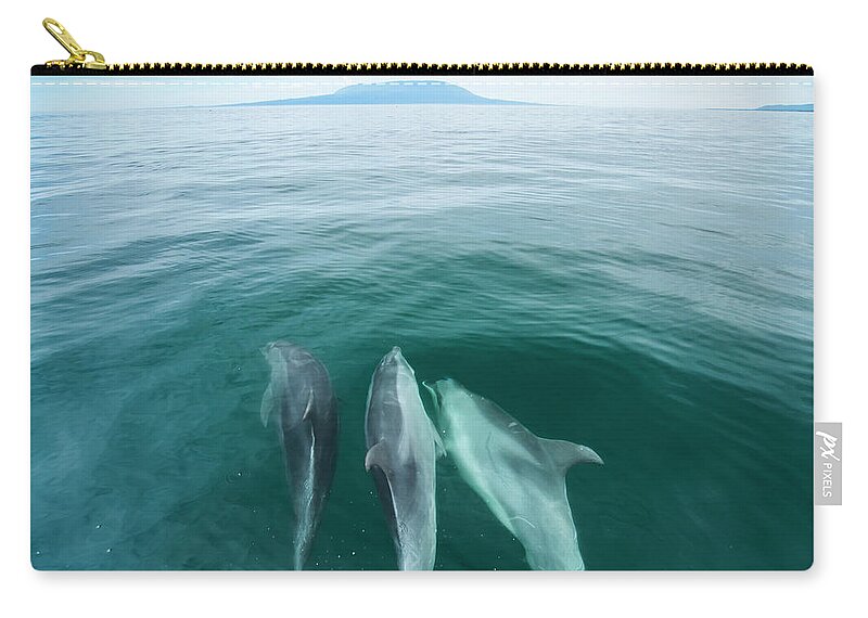 Animal Zip Pouch featuring the photograph Bottlenose Dolphins Bowriding by Tui De Roy