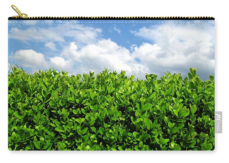 Clear Sky Zip Pouch featuring the photograph Box Hedge by Fotolinchen