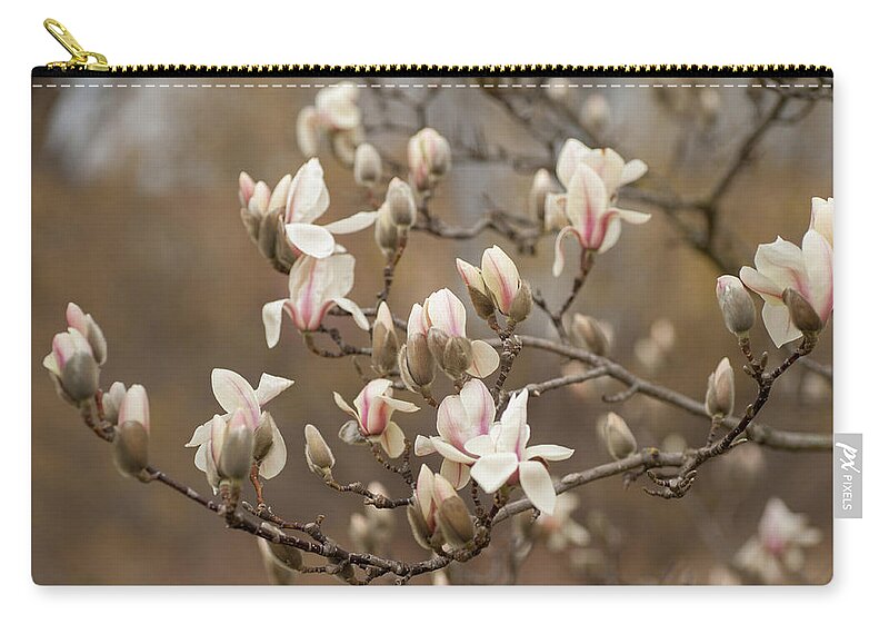 Jenny Rainbow Fine Art Photography Zip Pouch featuring the photograph Branch of Zen Magnolia by Jenny Rainbow