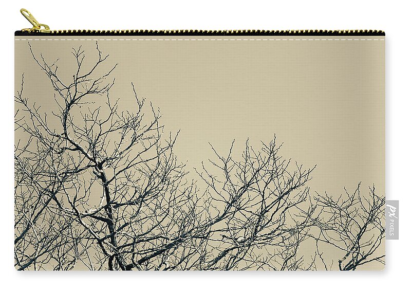 Tree Zip Pouch featuring the photograph Branches by Tanya C Smith