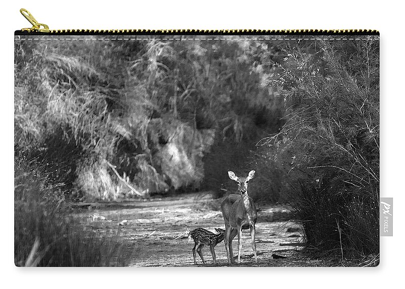 Richard E. Porter Zip Pouch featuring the photograph Breakfast - Deer, Palo Duro Canyon State Park, Texas by Richard Porter