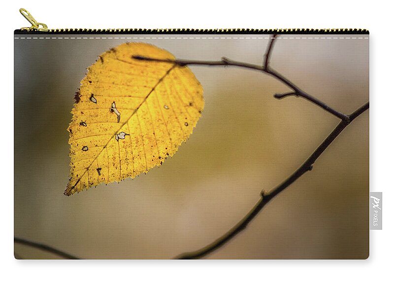 Fall Zip Pouch featuring the photograph Bright Fall Leaf 8 by Michael Arend