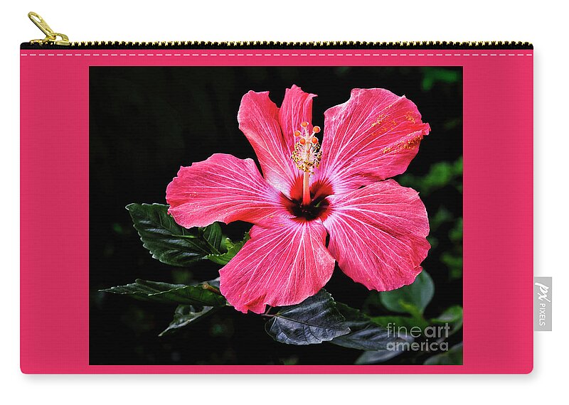 Floral Photography Zip Pouch featuring the photograph Bright Red Hibiscus by Norman Gabitzsch