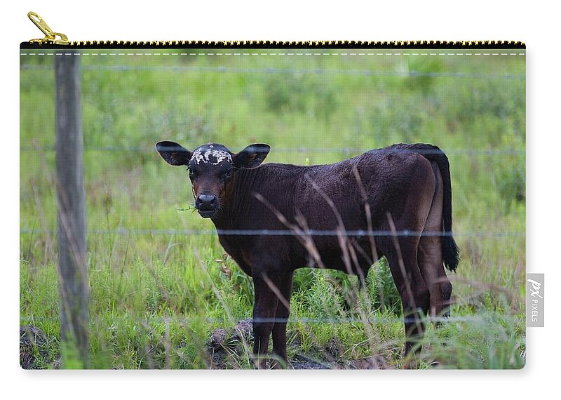 Cow Zip Pouch featuring the photograph Brown and White Faced Calf by T Lynn Dodsworth