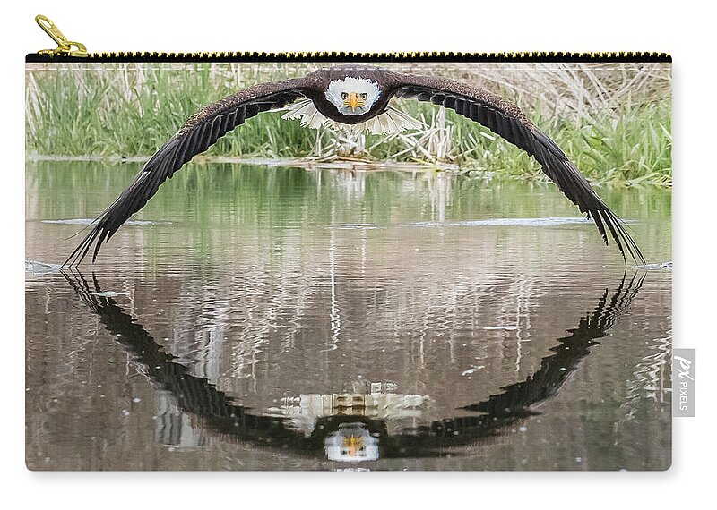 Eagle Zip Pouch featuring the photograph Bruce the Bald Eagle by Steve Biro