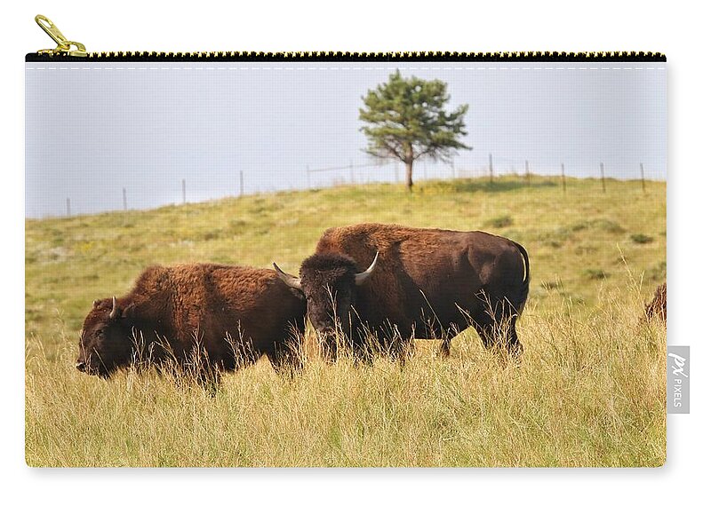 Buffalo Zip Pouch featuring the photograph Buffalo at Custer State Park by Susan Jensen