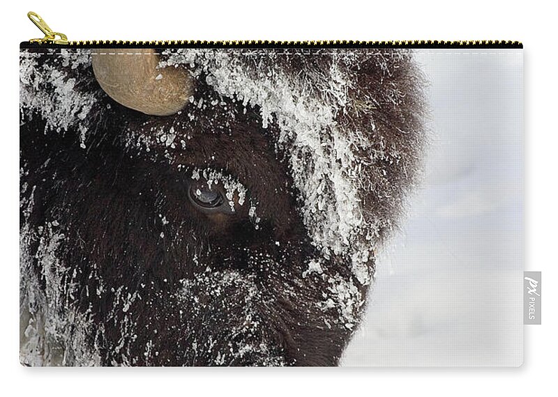 Horned Zip Pouch featuring the photograph Buffalo In Winter In Yellowstone by J. L. woody Wooden