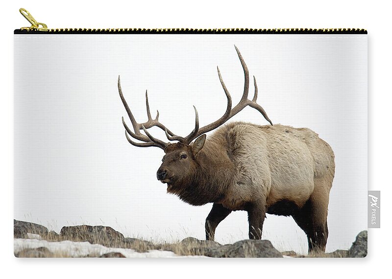 Alertness Zip Pouch featuring the photograph Bull Elk Approaching by Mark Newman