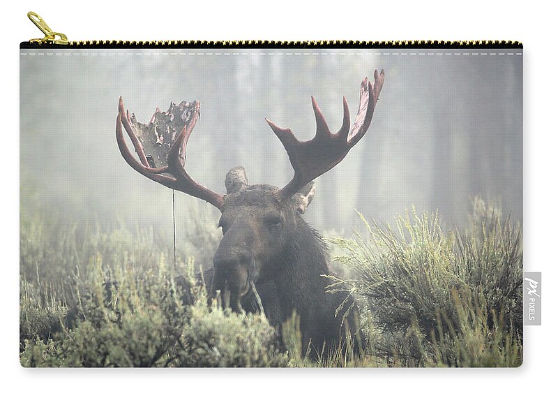 Bull Zip Pouch featuring the photograph Bull Moose in Early Morning Mist by Jean Clark