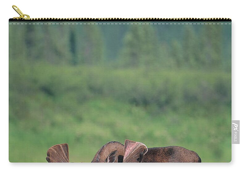 One Animal Zip Pouch featuring the photograph Bull Moose In Lake by Theo Allofs