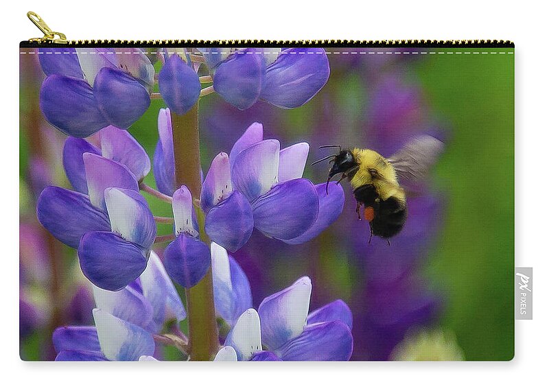 Bee Zip Pouch featuring the photograph Bumble Bee and Lupine by Tim Kirchoff