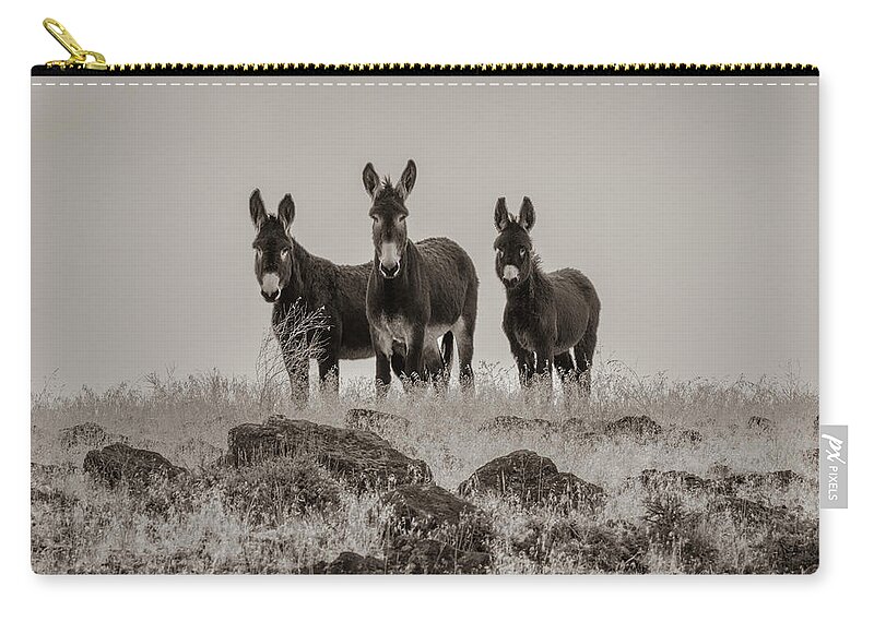 Wild Burro Zip Pouch featuring the photograph Burros in Sepia by Randy Robbins