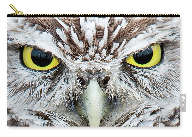 Animal Themes Zip Pouch featuring the photograph Burrowing Owl by Michael Leggero
