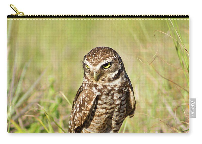 Cape Coral Zip Pouch featuring the photograph Burrowing Owl Near His Nest by Nancy Rose