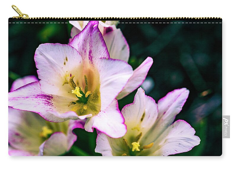 America Zip Pouch featuring the photograph Burst by ProPeak Photography