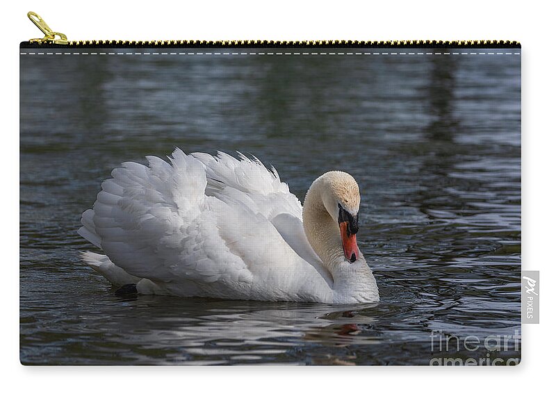 Photography Zip Pouch featuring the photograph Busking Swan by Alma Danison