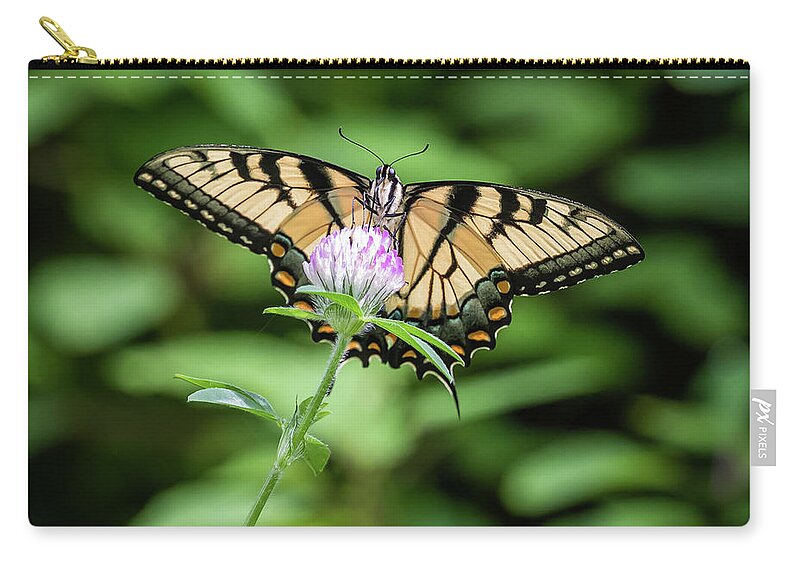 Art Zip Pouch featuring the photograph Butter Fly by Gary Migues