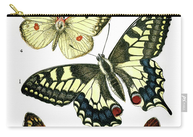 White Background Zip Pouch featuring the digital art Butterflies by Duncan1890