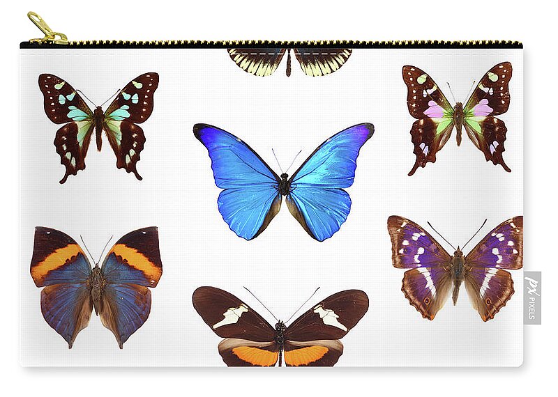 White Background Zip Pouch featuring the photograph Butterfly Collection by Imv