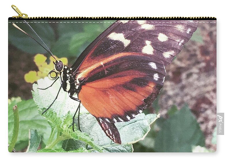 Butterfly Zip Pouch featuring the photograph Butterfly Daze by Christine Chin-Fook