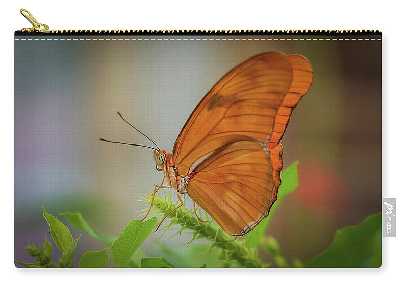 Butterfly Zip Pouch featuring the photograph Butterfly, Delicate Wings... by Cindy Lark Hartman