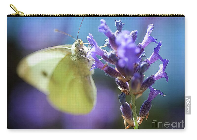Macro Zip Pouch featuring the photograph Butterfly by Mariusz Talarek