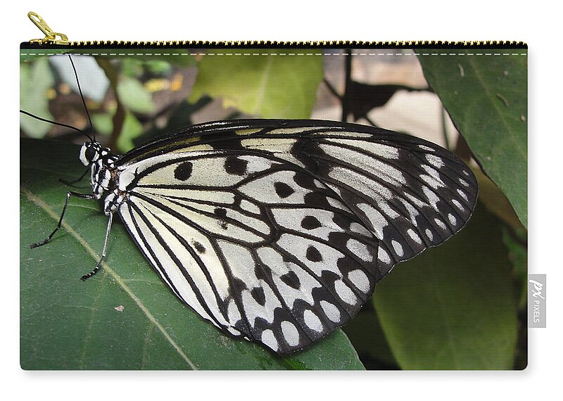 Butterfly Zip Pouch featuring the photograph Butterfly by Patricia Caron