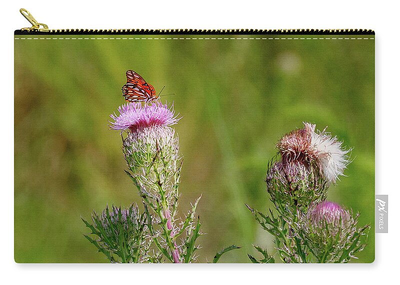 Butterfly Zip Pouch featuring the photograph Butterfly sitting by Les Greenwood