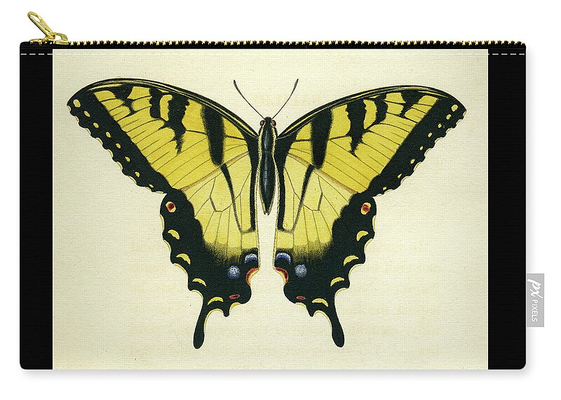 Entomology Zip Pouch featuring the mixed media Butterfly by Unknown