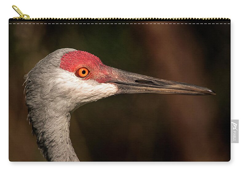 Animal Zip Pouch featuring the photograph BZ Sandhill Crane by Don Johnson