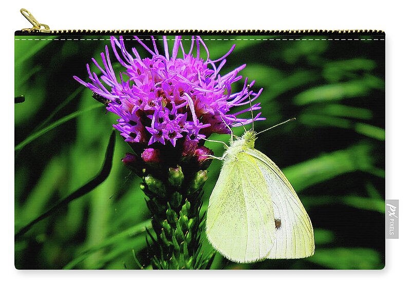 Cabbage White Butterfly Carry-all Pouch featuring the photograph Cabbage White and Purple by Linda Stern
