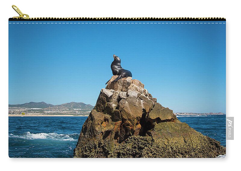 Cabo Zip Pouch featuring the photograph Cabo Seal by Bill Cubitt