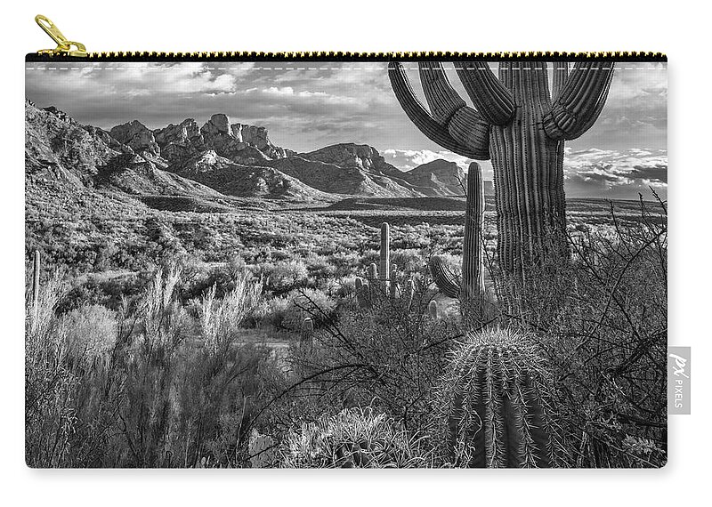 Disk1216 Zip Pouch featuring the photograph Cacti And Santa Catalina Mountains by Tim Fitzharris