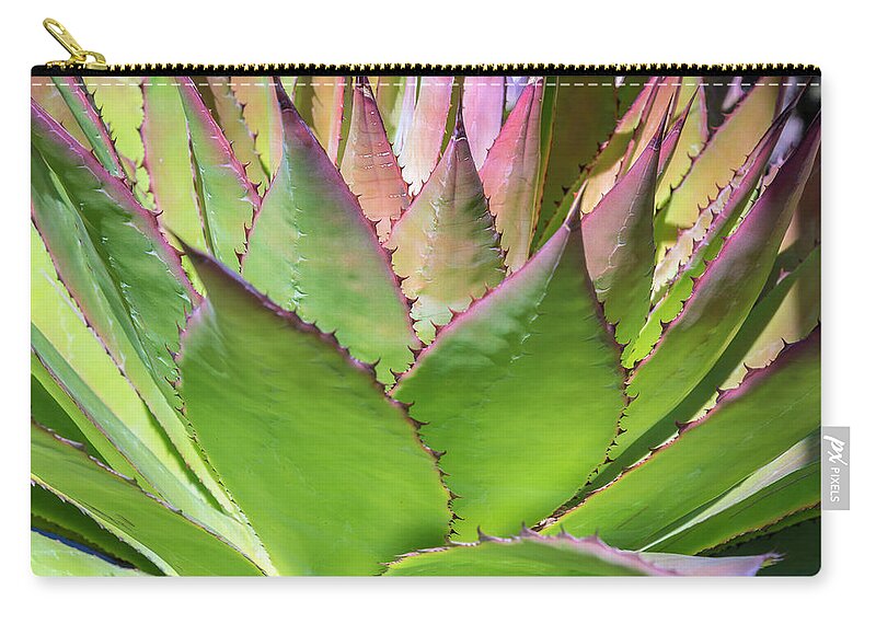© 2015 Lou Novick All Rights Reserved Zip Pouch featuring the photograph Cactus 4 by Lou Novick
