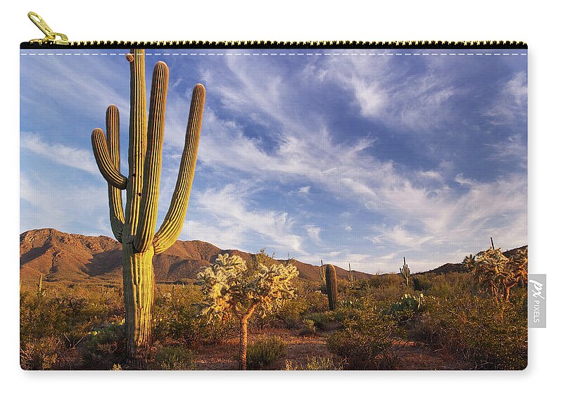 Saguaro Cactus Zip Pouch featuring the photograph Cactus And Desert Landscape With Bright by Kencanning