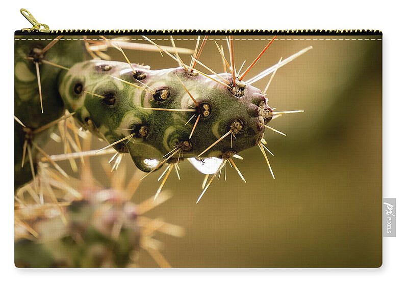 Outdoors Zip Pouch featuring the photograph Cactus detail by Silvia Marcoschamer
