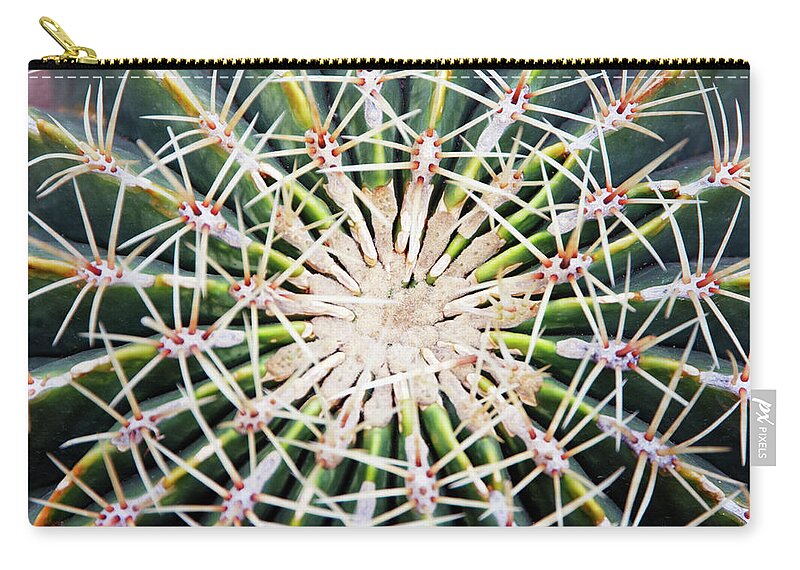 Sharp Zip Pouch featuring the photograph Cactus Ferocactus Histrix, Overhead View by Liz Whitaker