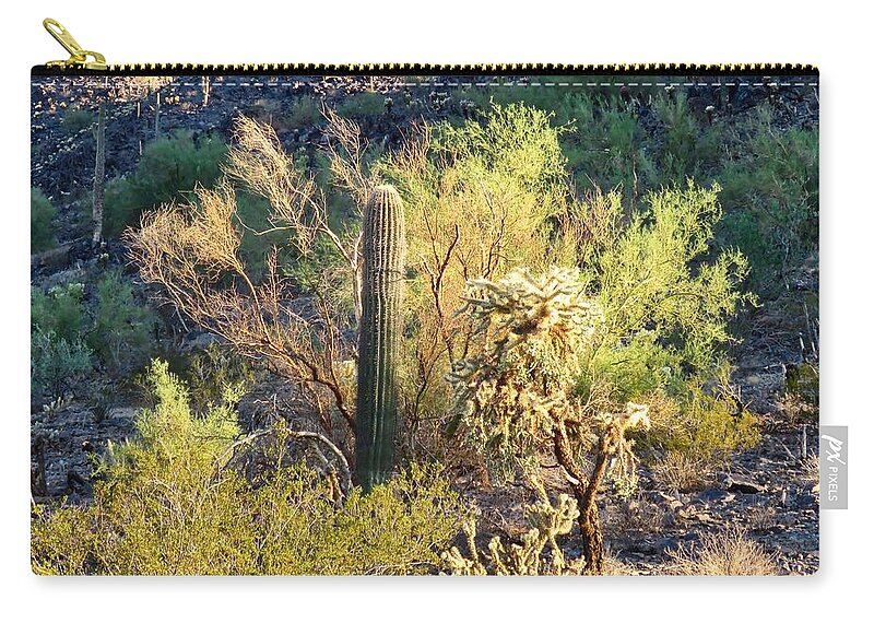 Affordable Zip Pouch featuring the photograph Cactus Kingdom by Judy Kennedy
