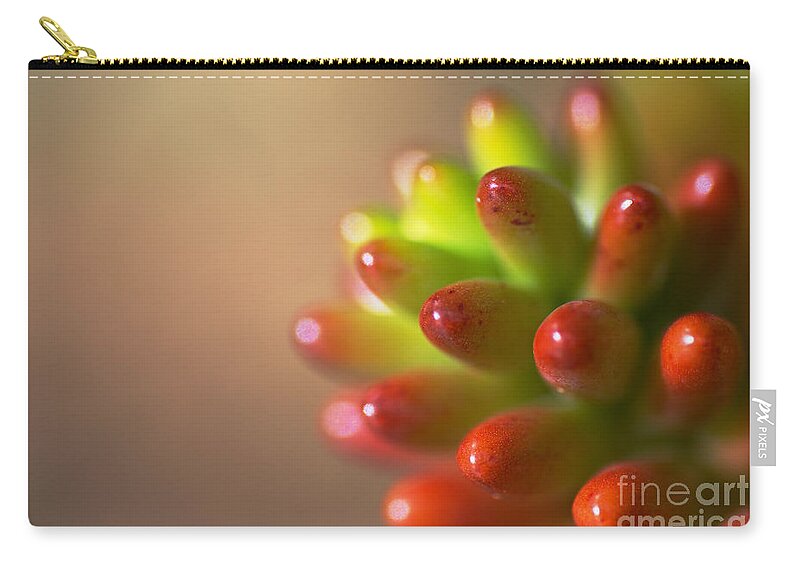 Cactus Of Red And Green Zip Pouch featuring the photograph Cactus Of Red and Green by Joy Watson
