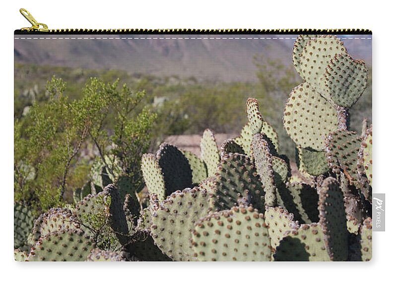 Chihuahua Desert Zip Pouch featuring the photograph Cactus Scene by Lisay