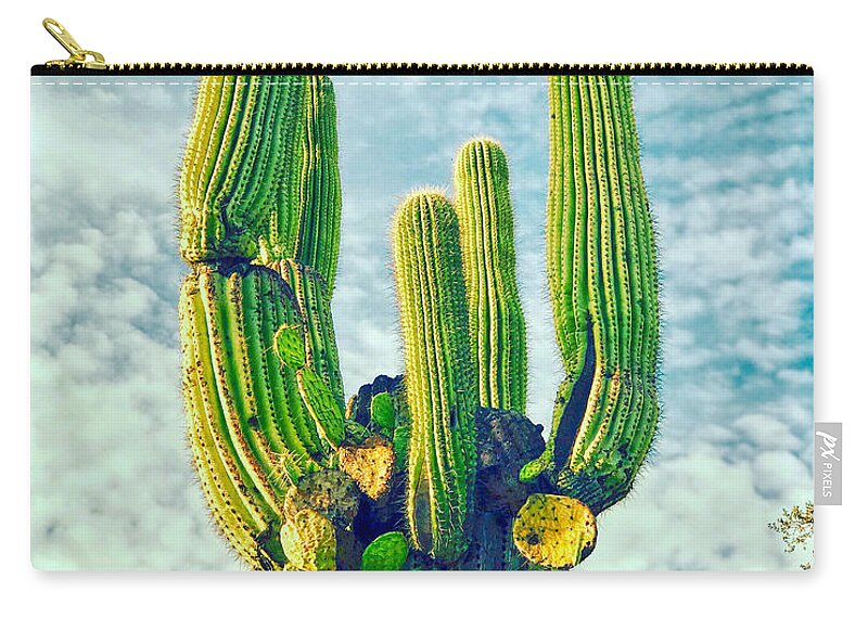 Sunsets Zip Pouch featuring the photograph Cactus Shot by Anthony Giammarino