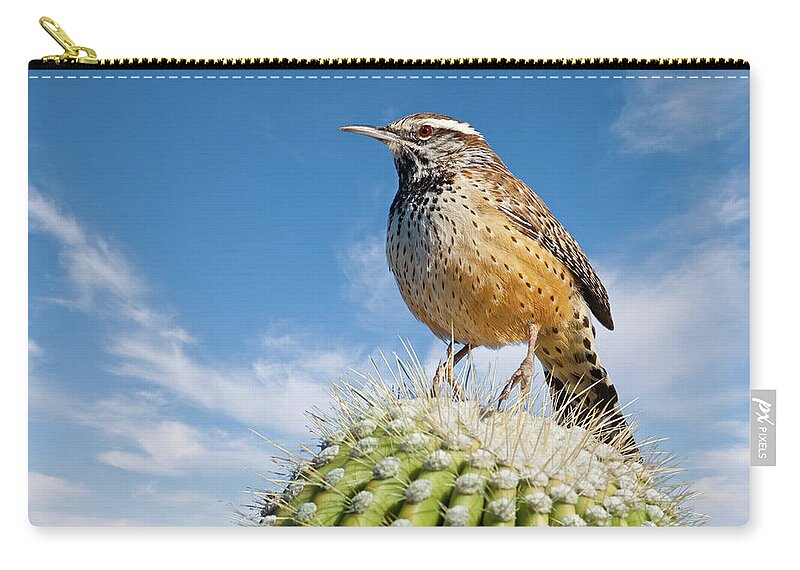 Adult Carry-all Pouch featuring the photograph Cactus Wren on a Saguaro Cactus by Jeff Goulden