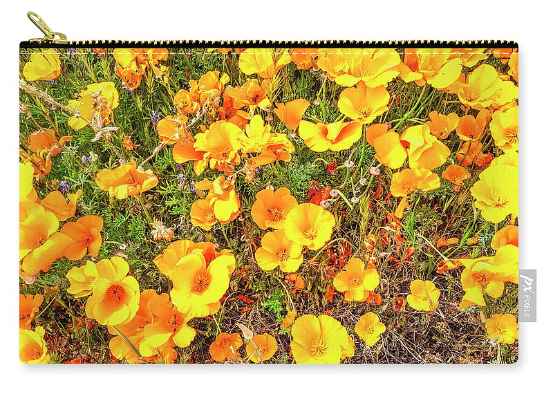 Poppies Zip Pouch featuring the photograph California Poppies - 2019 #3 by Gene Parks