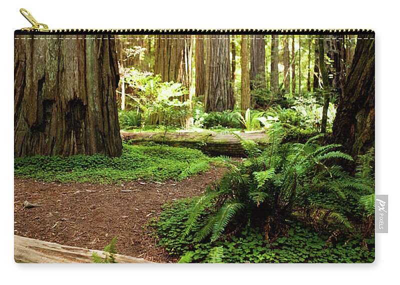 Sequoia Tree Zip Pouch featuring the photograph California Redwood Forest by Andipantz
