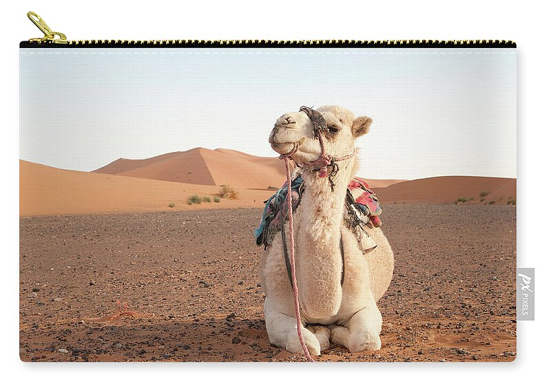Sitting On Floor Zip Pouch featuring the photograph Camel With Bridle Ready For Trek by Gavind