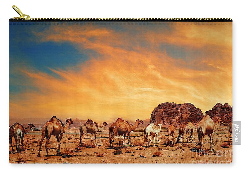 Camel Zip Pouch featuring the photograph Camels in Wadi Rum by Jelena Jovanovic