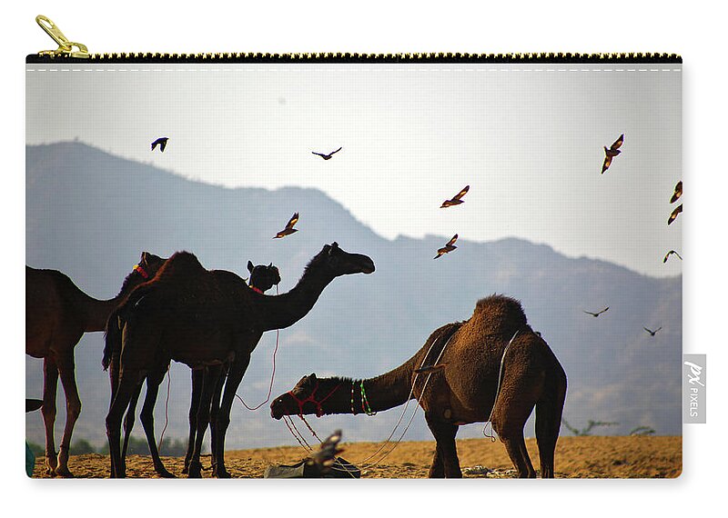 Working Animal Zip Pouch featuring the photograph Camels On Thar Desert by Hema Narayanan